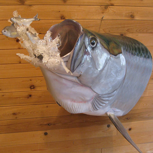 mike walsh taxidermy